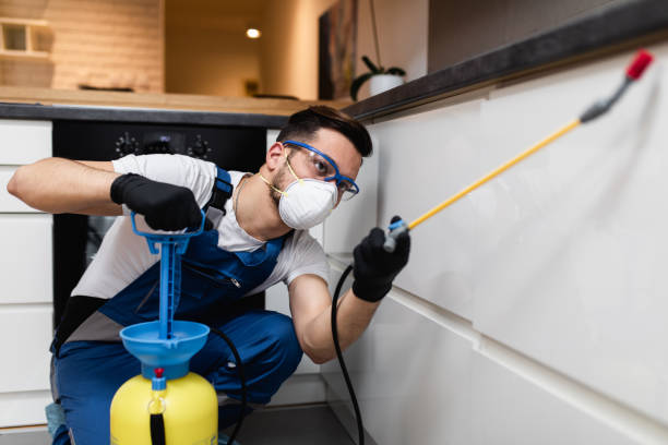 Pest Control for Restaurants in Darien, IL