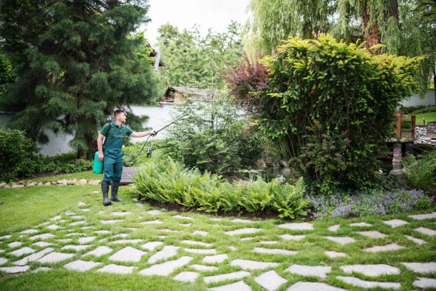 Best Termite Control Services  in Darien, IL