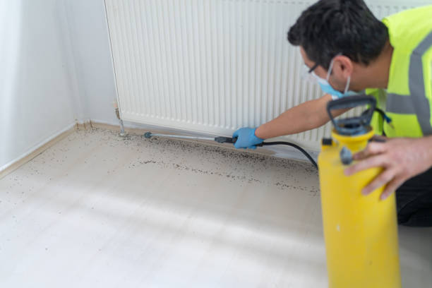 Best Best Pest Control Companies  in Darien, IL
